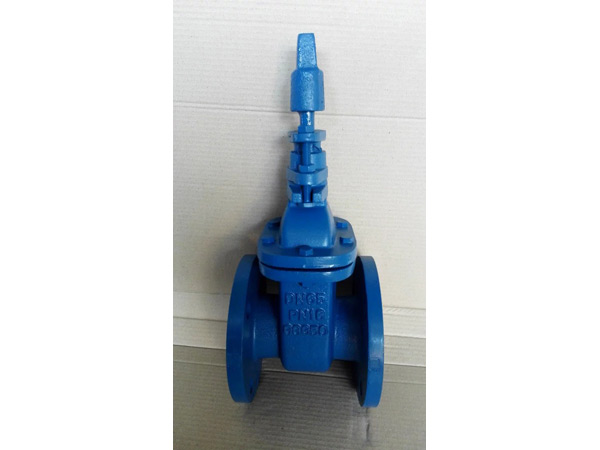 球鐵德標(biāo)地下閘閥